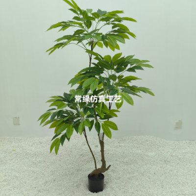 Imitative Tree Green Plant Solid Cane Three-Head Longyan Tree Potted Plant