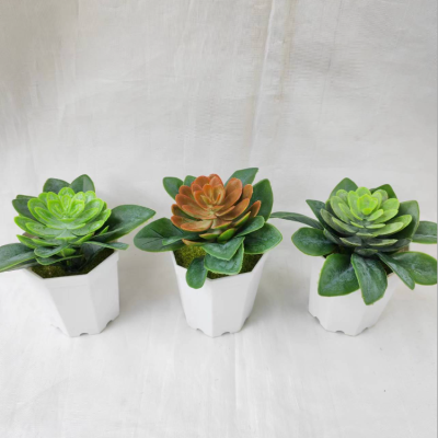 Plastic Tape Pots Bonsai Gem Lotus Mini Plants