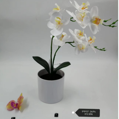 Simulation Bonsai Ornamental Flower Phalaenopsis