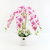 Factory Wholesale 3D Printing Pu Feel Phalaenopsis Emulational Flower and Silk Flower Wedding Home Decoration Photography Props Potted Plant