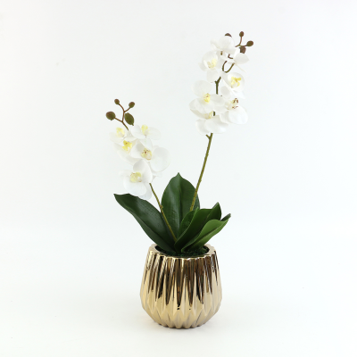Artificial Flower Phalaenopsis Set Ceramic Small Pot Plant Bonsai Decoration Fake Flower Silk Flower Ornaments Factory Direct Sales Batch Delivery