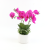 Phalaenopsis Artificial Artificial Flower Pu Feel Plastic Flowers Potted Living Room Dining Table Indoor Decorative Flower Arrangement Decoration Cross-Border