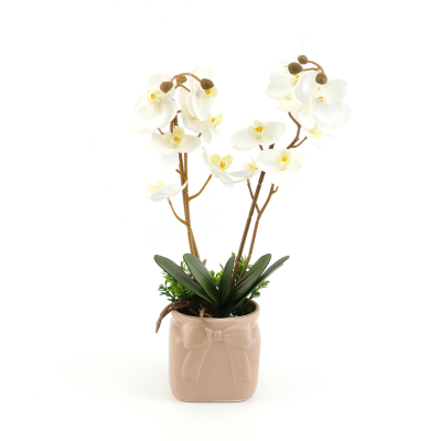 Flower Phalaenopsis Bonsai Factory Direct Supply Creative Small Ornaments Plant Decoration Artificial Flowers Simulation Green Plant Indoor Matching