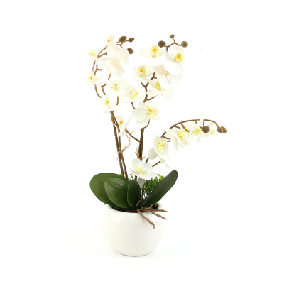 Phalaenopsis Small Bonsai Artificial Flower Factory Direct Supply Creative Artificial Fashion Home Decoration Fake Flower Decoration Wholesale