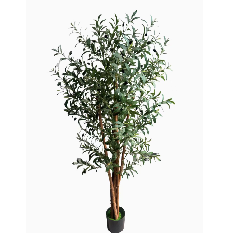 Product Image Gallery