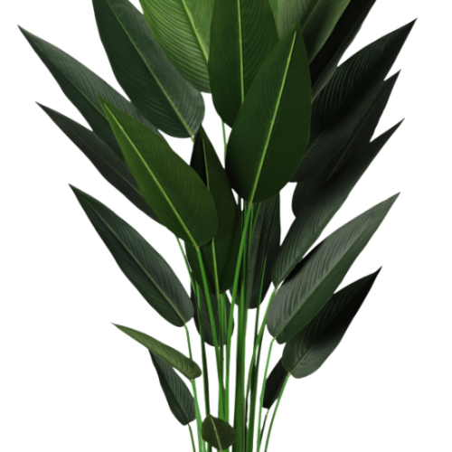 高品质爆款天堂鸟仿真植物家居装饰仿真盆栽假树造景摆件仿真树