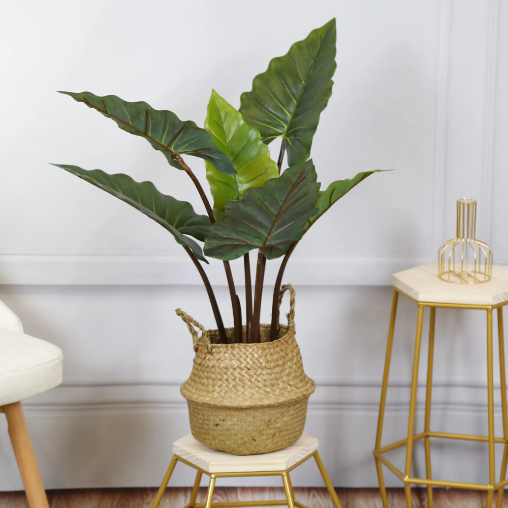 Product Image Gallery