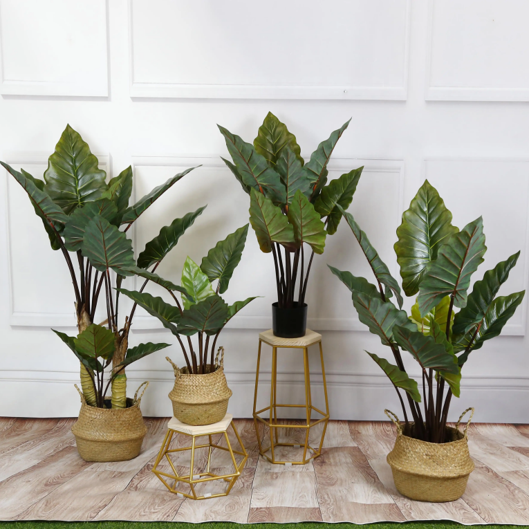 Product Image Gallery