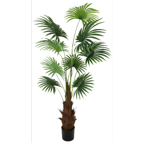 高仿仿真树加州扇葵盆栽豪华餐厅花园造景仿真植物高质量仿真树