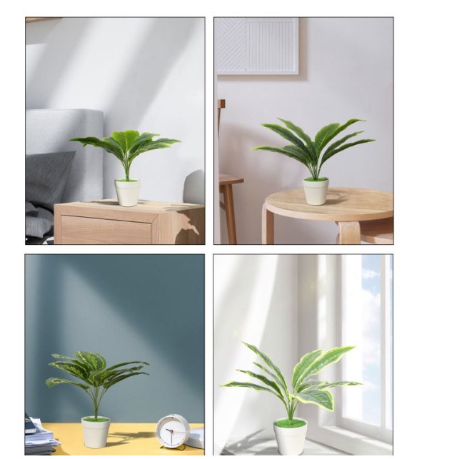Product Image Gallery