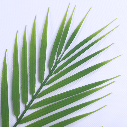 工厂仿真手感蕨类植物波斯草蕨草插地造景装饰批发植物墙配材