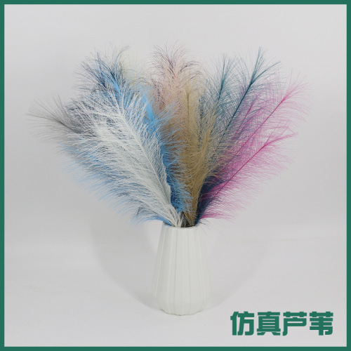 3杈55cm仿真芦苇多彩潘帕斯草蒲苇草落地室内摆件装饰品场景饰品