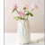 High-Grade Cream Style Ceramic Vase Hydroponic Flowers Flower Arrangement Decoration Living Room Restaurant Simple Style