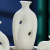 Nordic Style Art Ceramic Vase Decoration Creative Living Room Flower Arrangement