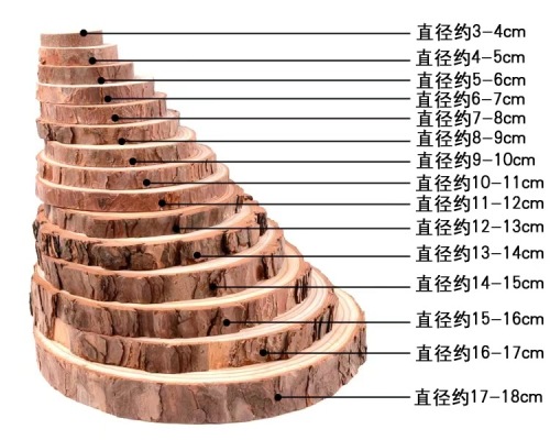 松木原木片木头片松木圆片手工幼儿园装饰木块圆木片板