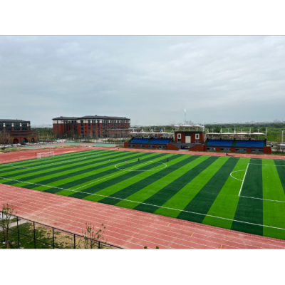 Artificial Football Field Lawn Turf Artificial Fake Lawn School Playground Playground Emulational Lawn Fake Grass