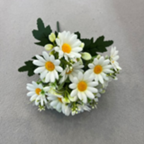 5 first ono chrysanthemum new listing factory direct sales for cross-border