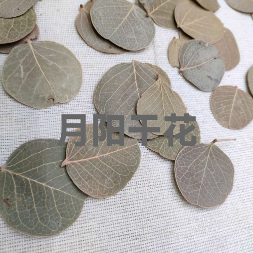 yuanyang dried flower small round leaf epoxy photo frame candle sesame oil accessories floral handmade bookmark greeting card album craft