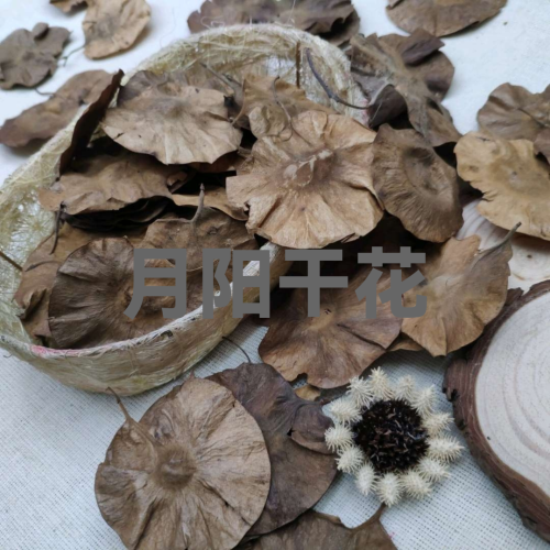 yuanyang dried flower vintage copper coin leaf flower arrangement design aromatherapy bookmark photo frame baground preschool eduion paaging handmade diy