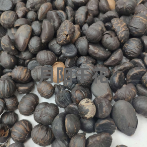 义乌月阳干花干果永生花仿真花押花工艺品饰品美甲滴胶手工艺配件