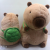 Capybara Back Shell of Turtle Back Apple Cute Guinea Pig Plush Toy Laid-Back Decompression Toy