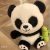 Shangrongfang Cute Bamboo Panda Backpack Kids Backpack Plush Toy Doll Girl Birthday Gift for Boy