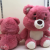 Shangrongfang Sitting Pink Bear Cute Plush Toy Kids' Birthday Present