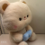 Shangrongfang Bear Holding Camera Special Offer Plush Toy Cute Child Gift Birthday Gift
