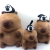 Shangluofang Duzai Capybara Laid-Back Capybara Plush Toy Children's Toy Birthday Gift Gift