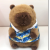 Shangrongfang Hawaiian Capybara Men's Laid-Back Capybara Plush Toy Children's Cute Toy Birthday Gift Gift