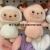 Plush Pendant Hat Dog Keychain Doll Dog Duck Rabbit Cute Grasping Machine Tiktok Live Broadcast Amazon Cross-Factory
