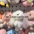 Plush Pendant Baby Dragon Keychain Doll Rabbit Deer Sheep Grasping Machine Tiktok Live Broadcast Amazon Cross-Border Factory