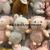 Plush Pendant Long-Haired Sitting Dragon Keychain Bear Sheep Frog Grab Machine Doll Tiktok Live Broadcast Amazon Cross-Border Factory