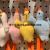 Plush Pendant SUNFLOWER Keychain Cup Goose Dog Crane Machines Tik Tok Live Stream Amazon Cross-Border Factory