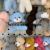 Plush Pendant Scarf Duck Keychain Bear Rabbit Deer Grab Machine Doll Tiktok Live Broadcast Amazon Cross-Border Factory