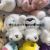 Plush Pendant Four-Sided Elastic Colorful Turtle Keychain Sheep and Dog Shrimp Prize Claw Doll Tik Tok Live Stream Amazon Cross-Border Worker