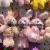 Plush Pendant Hat Turtle Keychain Dog Bear Sheep Grasping Machine Doll Tiktok Live Broadcast Amazon Cross-Border Factory