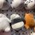 Plush Pendant Boutique Dinosaur Keychain Totoro Bear Hurry up Doll Tiktok Live Amazon