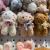 Plush Pendant 6cm Pudding Dog Keychain Sheep Camel Bear Grasping Machine Tiktok Live Broadcast Amazon Cross-Border Plush Toys