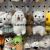 Plush Pendant Turtle Keychain Rabbit Radish Avocado Grasping Machine Tiktok Live Broadcast Amazon Cross-Border Plush Toys