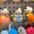 Plush Pendant Long Wool Simulation Duck Keychain Duck Cream Bag Paida Star Capture Machine Tiktok Live Broadcast Amazon Cross-Border