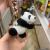 New Internet Celebrity Panda Keychain Schoolbag Pendant Panda National Treasure Backpack Pendant Children's Day Gift