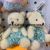 Cute Teddy Bear Plush Toy Bear Doll Doll Dolls for Clawing Children Doll Birthday Gift Wholesale