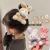 Cute Fruit Grain Velvet Small Teddy Bear Rabbit Pendant Mini Plush Toy Doll Backpack Pendant Doll Key Chain