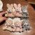 Cute Fruit Grain Velvet Small Teddy Bear Rabbit Pendant Mini Plush Toy Doll Backpack Pendant Doll Key Chain