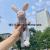 Cute Long Legs Bunny Plush Doll Long Eared Rabbit Keychain Handbag Pendant Prize Claw Toy Doll