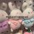 New Four-Inch Traffic Model Prize Claw Doll Cute Doll Little Doll Wedding Tossing Doll Plush Toys Wholesale