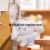 Plush Satchel Dog Pendant Sanrio Plush Key Chain Grip Four-Inch Little Doll Prize Claw Doll Creative