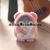 Internet Celebrity Cute Lollipop Penguin Pendant Plush Toy Doll Cartoon Bag Pendant Key Ring Ragdoll