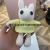 Cute Pineapple Plaid Teddy Bear Plush Doll Colorful Bow Tie Bear Backpack Pendant Keychain Clip Doll Machine Doll